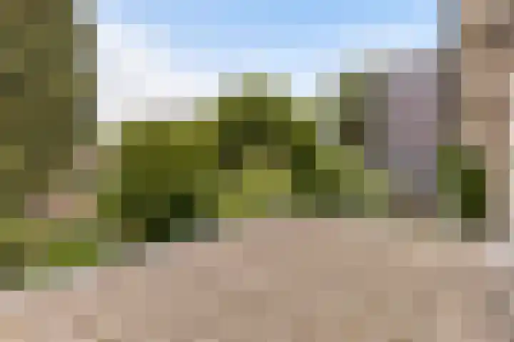 Vijverlaan 11 Apeldoorn thumbnail 26