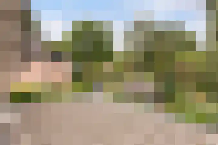 Vijverlaan 11 Apeldoorn thumbnail 27