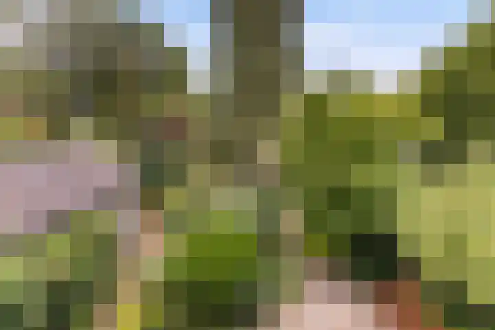 Vijverlaan 11 Apeldoorn thumbnail 28