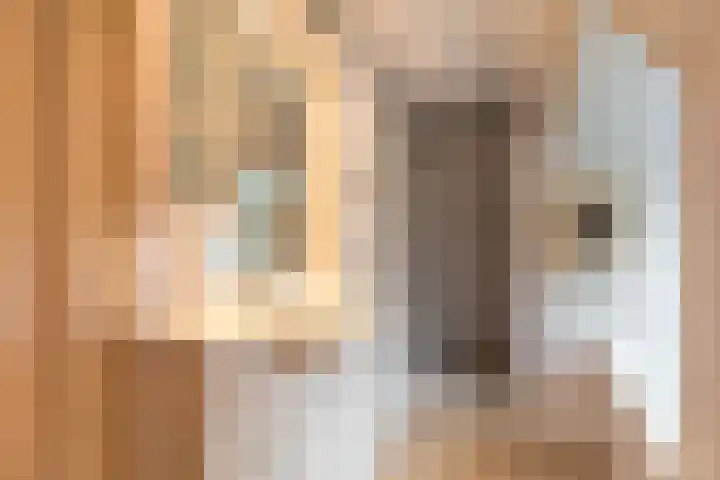 Vijverlaan 11 Apeldoorn thumbnail 29