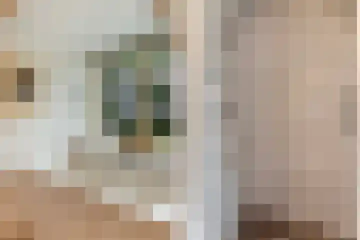 Vijverlaan 11 Apeldoorn thumbnail 30