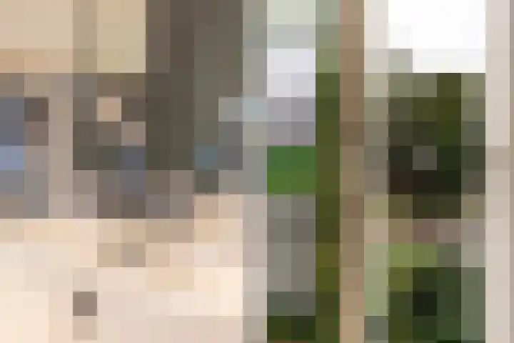 Vijverlaan 11 Apeldoorn thumbnail 31