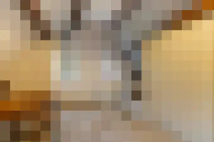 Vijverlaan 11 Apeldoorn thumbnail 33