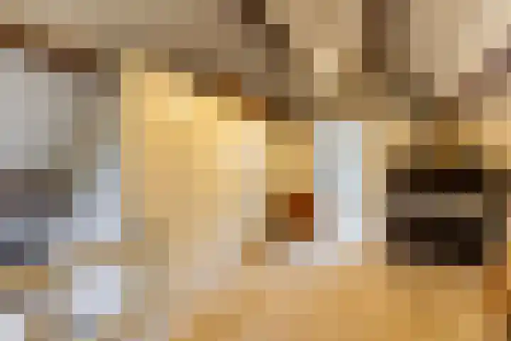 Vijverlaan 11 Apeldoorn thumbnail 34