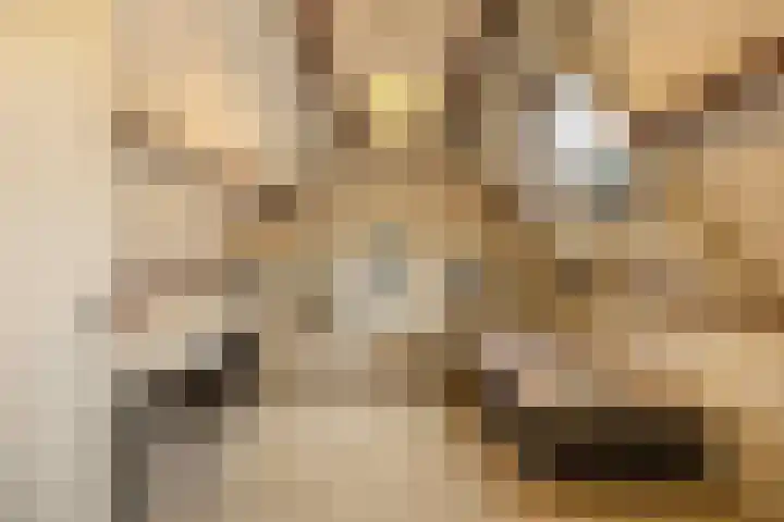 Vijverlaan 11 Apeldoorn thumbnail 35