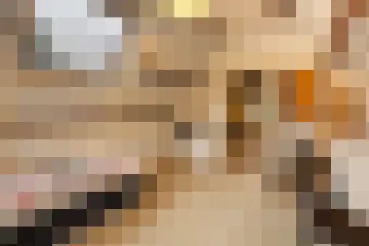 Vijverlaan 11 Apeldoorn thumbnail 36