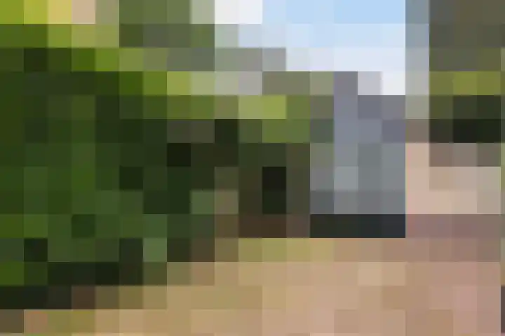 Vijverlaan 11 Apeldoorn thumbnail 37