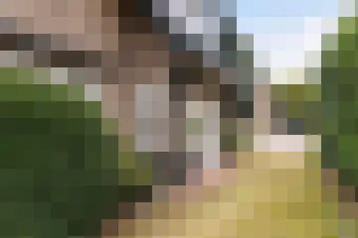 Vijverlaan 11 Apeldoorn thumbnail 38