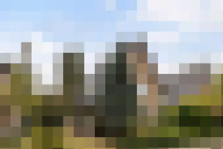 Vijverlaan 11 Apeldoorn thumbnail 39