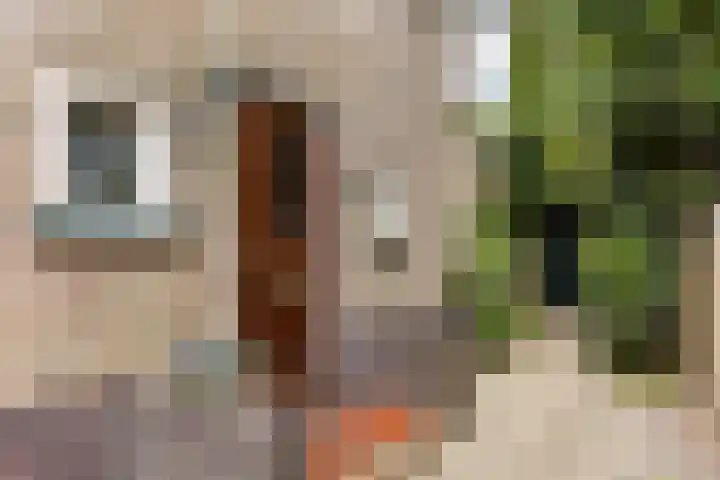 Vijverlaan 11 Apeldoorn thumbnail 4