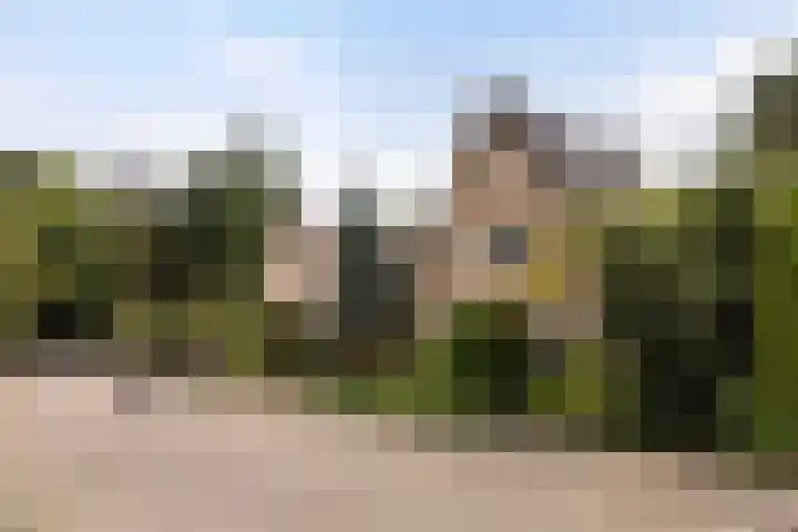 Vijverlaan 11 Apeldoorn thumbnail 41