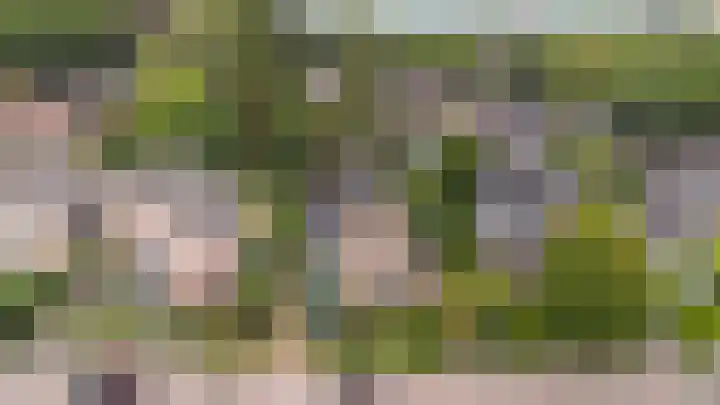 Vijverlaan 11 Apeldoorn thumbnail 42