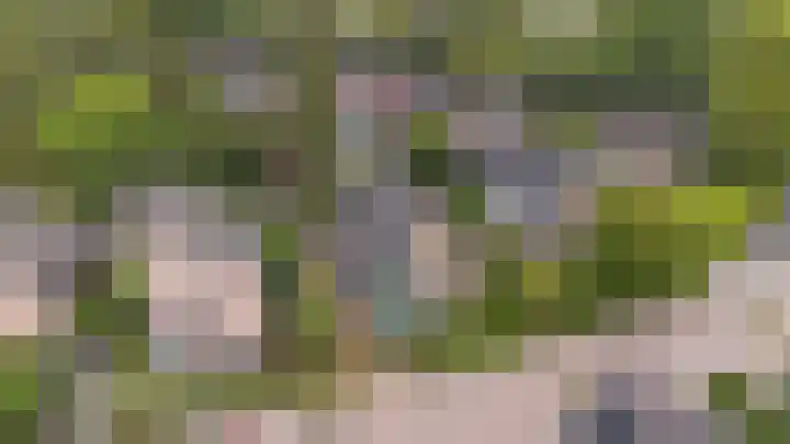 Vijverlaan 11 Apeldoorn thumbnail 43