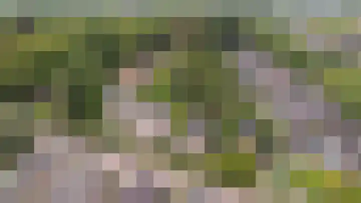 Vijverlaan 11 Apeldoorn thumbnail 44