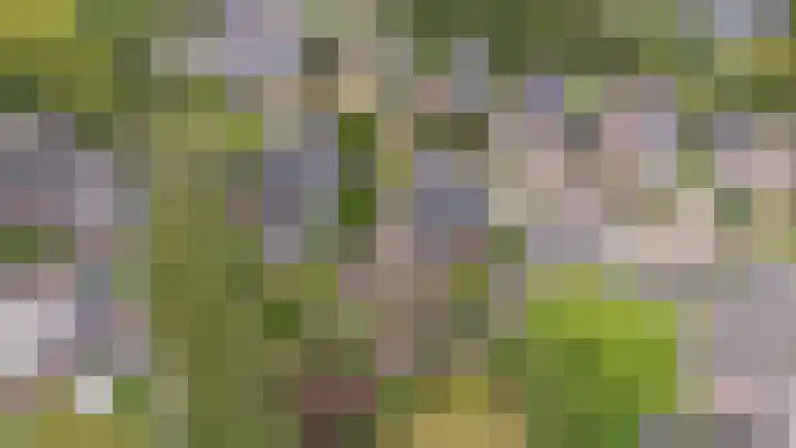Vijverlaan 11 Apeldoorn thumbnail 45