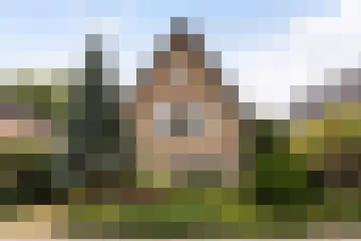 Vijverlaan 11 Apeldoorn thumbnail 51