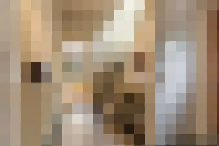 Vijverlaan 11 Apeldoorn thumbnail 6