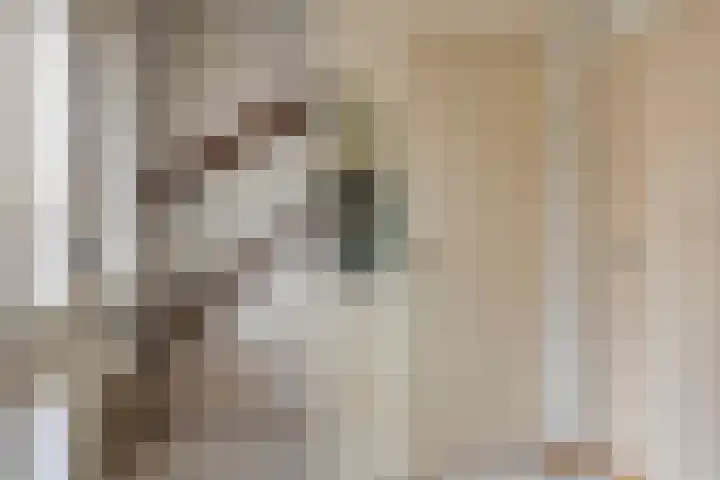 Vijverlaan 12 Arnhem thumbnail 10