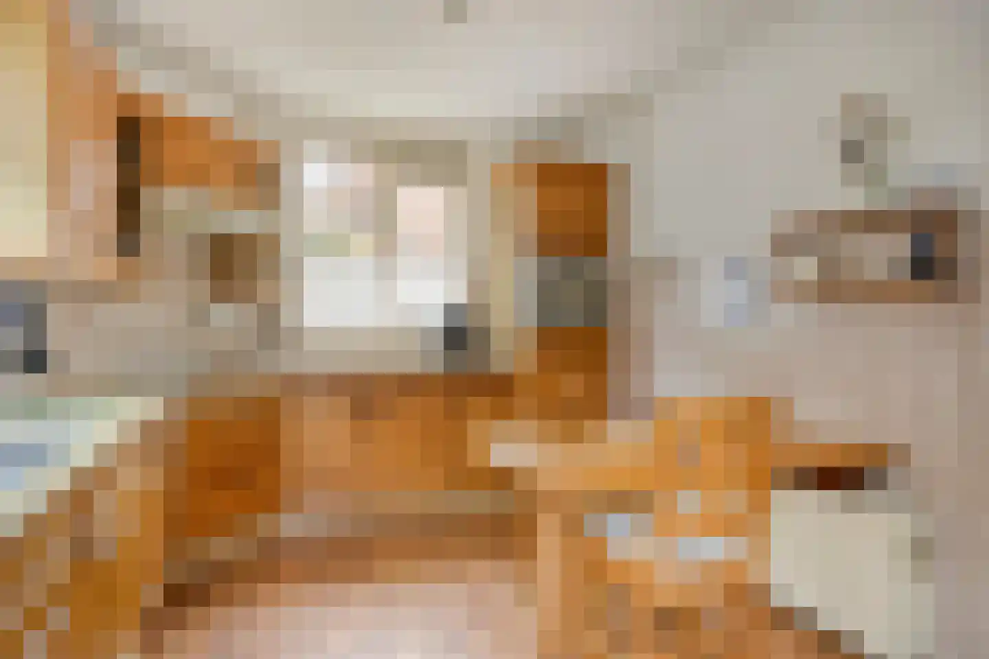 Vijverlaan 12 Arnhem thumbnail 13