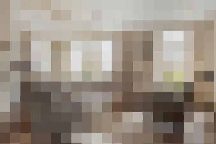 Vijverlaan 12 Arnhem thumbnail 15
