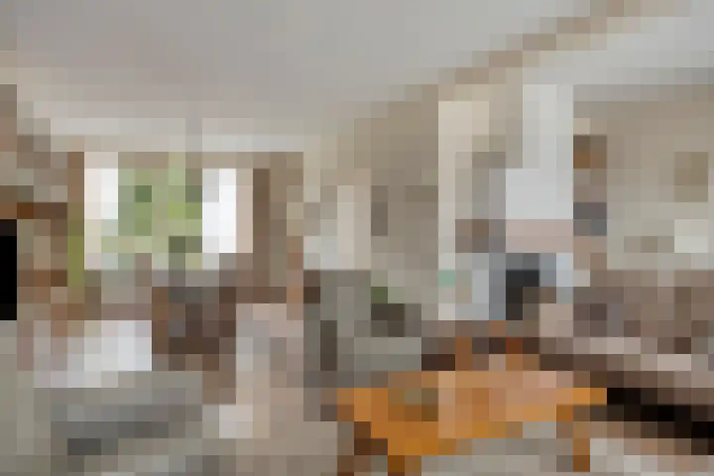 Vijverlaan 12 Arnhem thumbnail 17