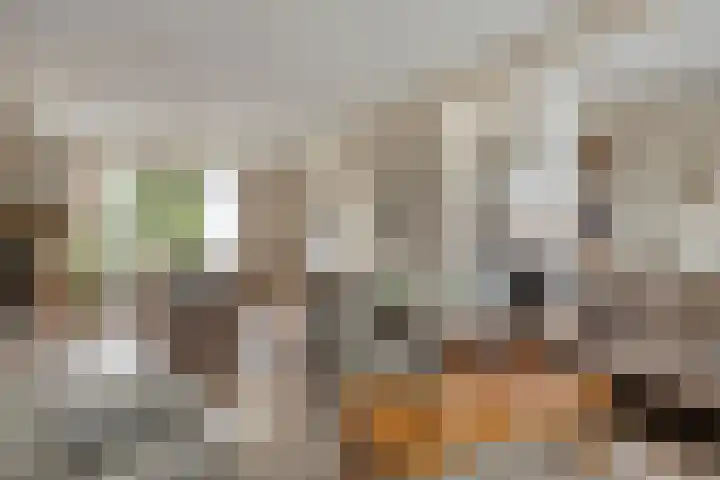 Vijverlaan 12 Arnhem thumbnail 17