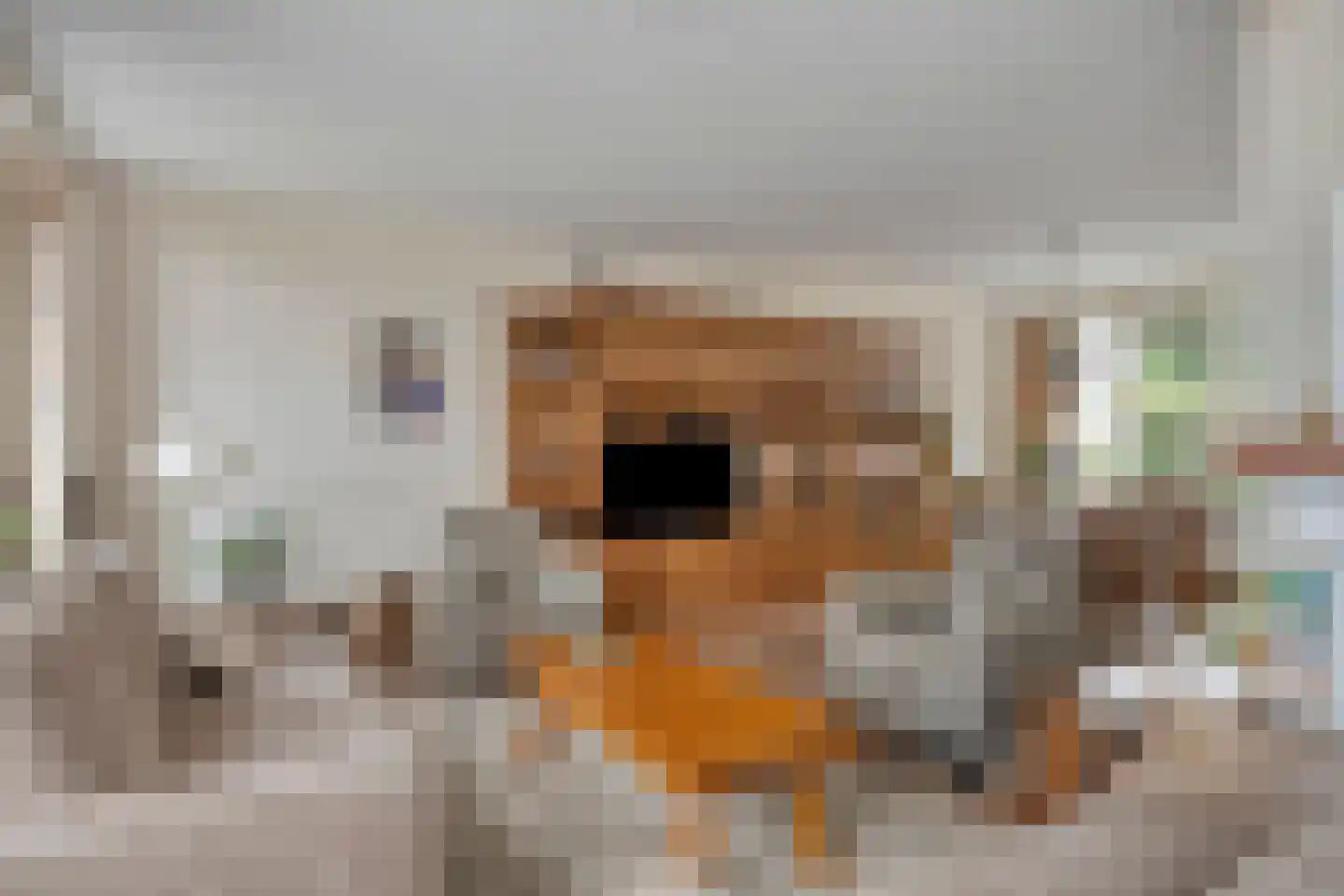 Vijverlaan 12 Arnhem thumbnail 18