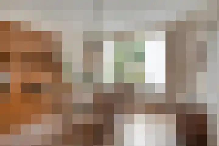 Vijverlaan 12 Arnhem thumbnail 19