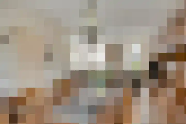 Vijverlaan 12 Arnhem thumbnail 20