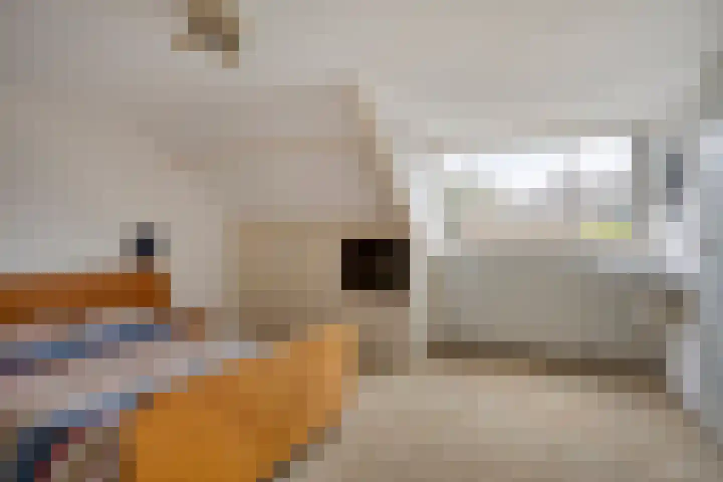 Vijverlaan 12 Arnhem thumbnail 37