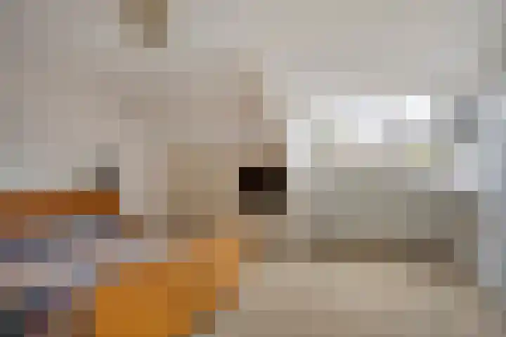 Vijverlaan 12 Arnhem thumbnail 37