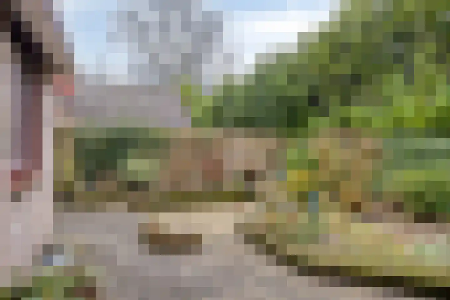 Vijverlaan 12 Arnhem thumbnail 4