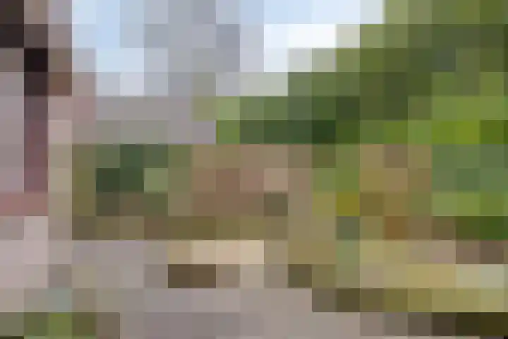Vijverlaan 12 Arnhem thumbnail 4