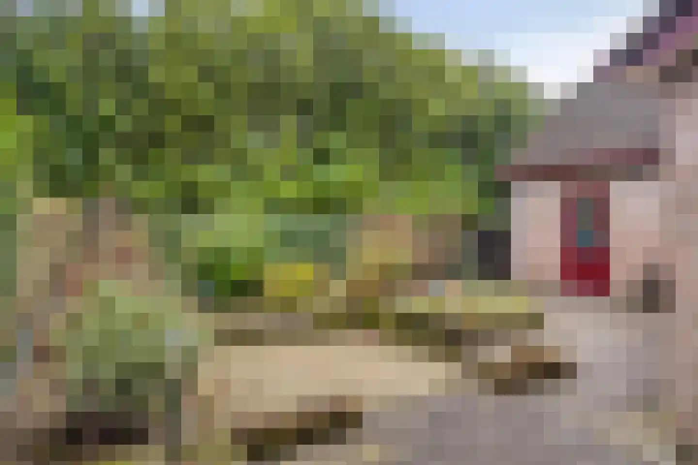 Vijverlaan 12 Arnhem thumbnail 46