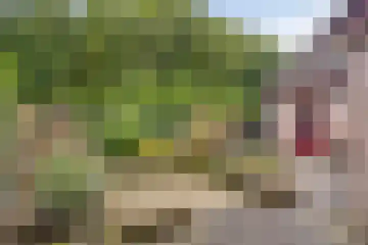 Vijverlaan 12 Arnhem thumbnail 46