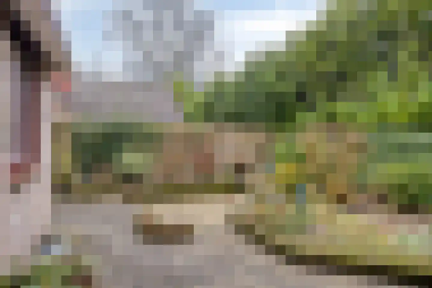Vijverlaan 12 Arnhem thumbnail 47