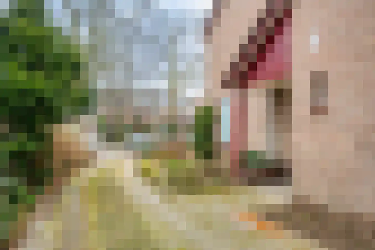 Vijverlaan 12 Arnhem thumbnail 7