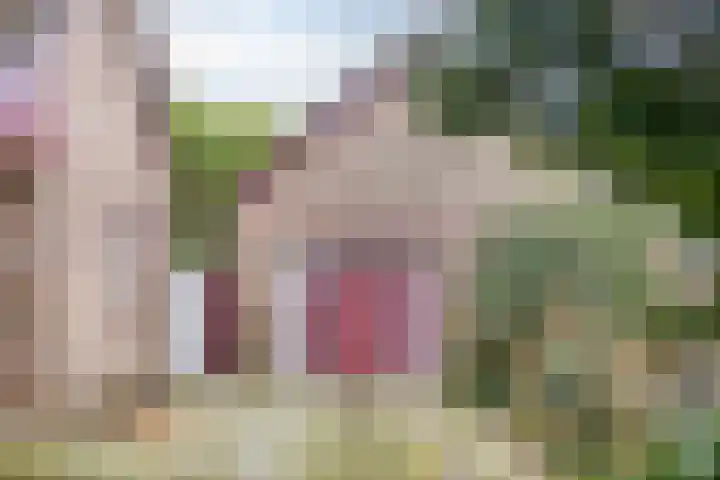 Vijverlaan 12 Arnhem thumbnail 9