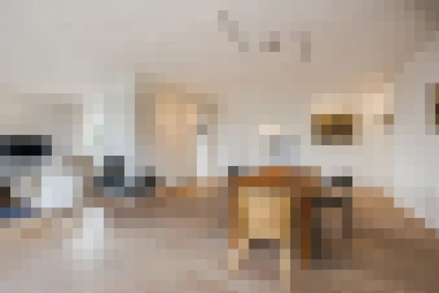 Vijverlaan 13 Nieuwleusen thumbnail 13