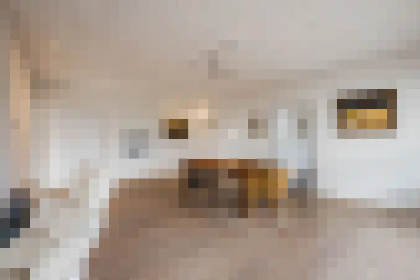 Vijverlaan 13 Nieuwleusen thumbnail 15