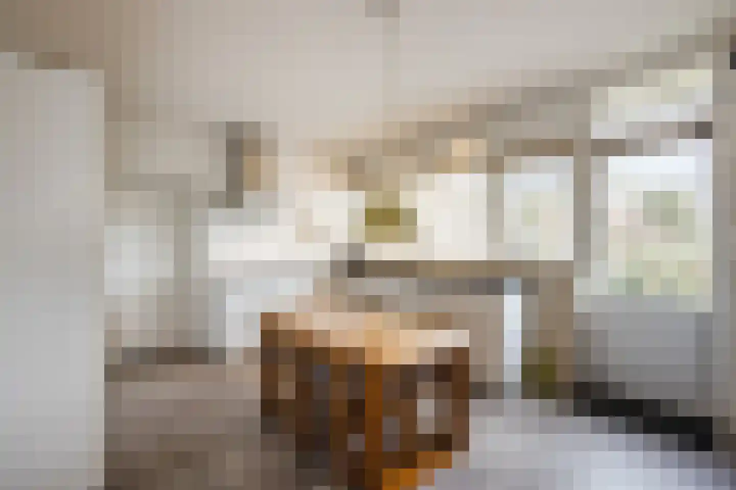 Vijverlaan 13 Nieuwleusen thumbnail 16