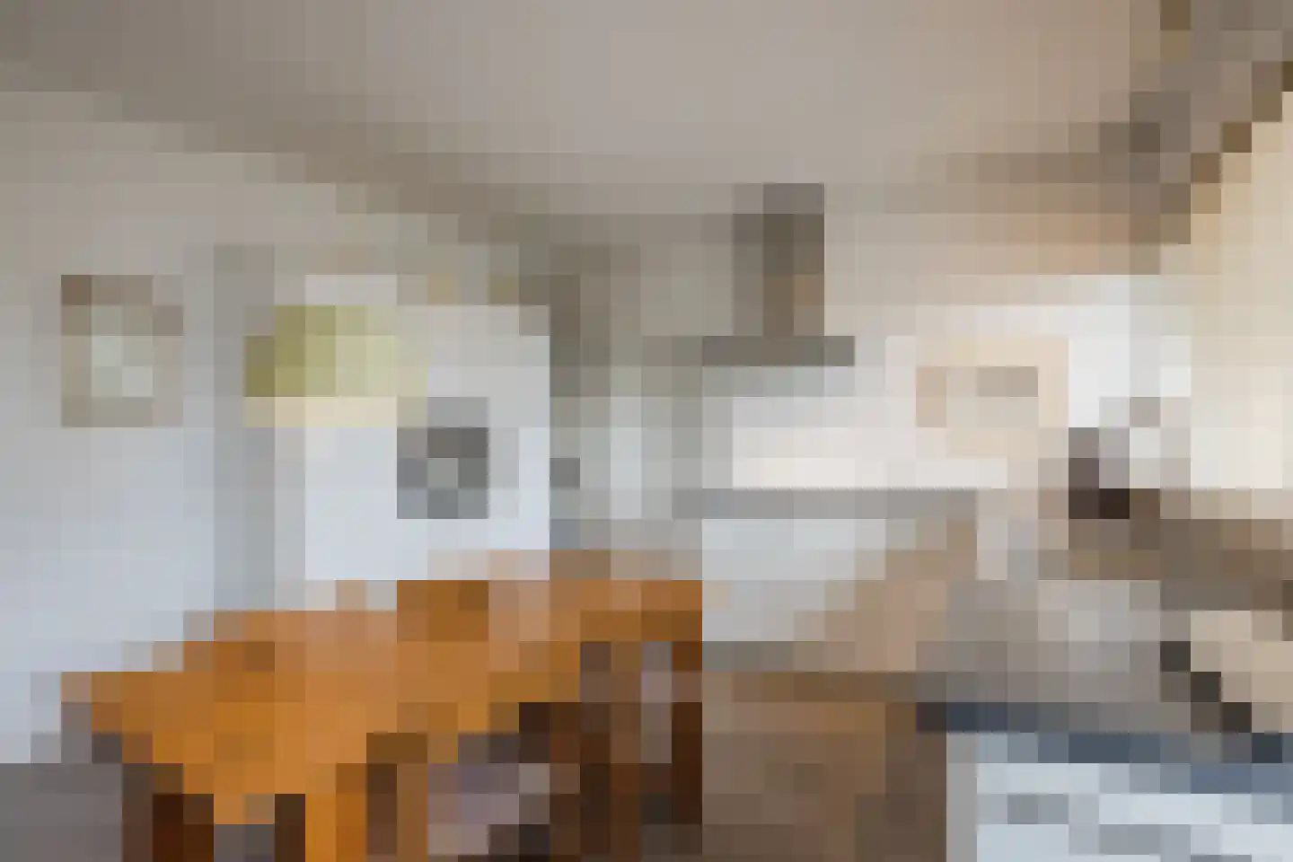 Vijverlaan 13 Nieuwleusen thumbnail 17