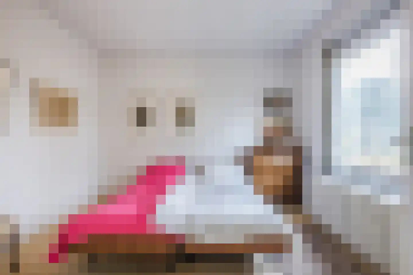 Vijverlaan 13 Nieuwleusen thumbnail 20