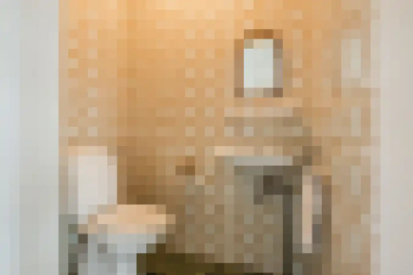 Vijverlaan 13 Nieuwleusen thumbnail 22