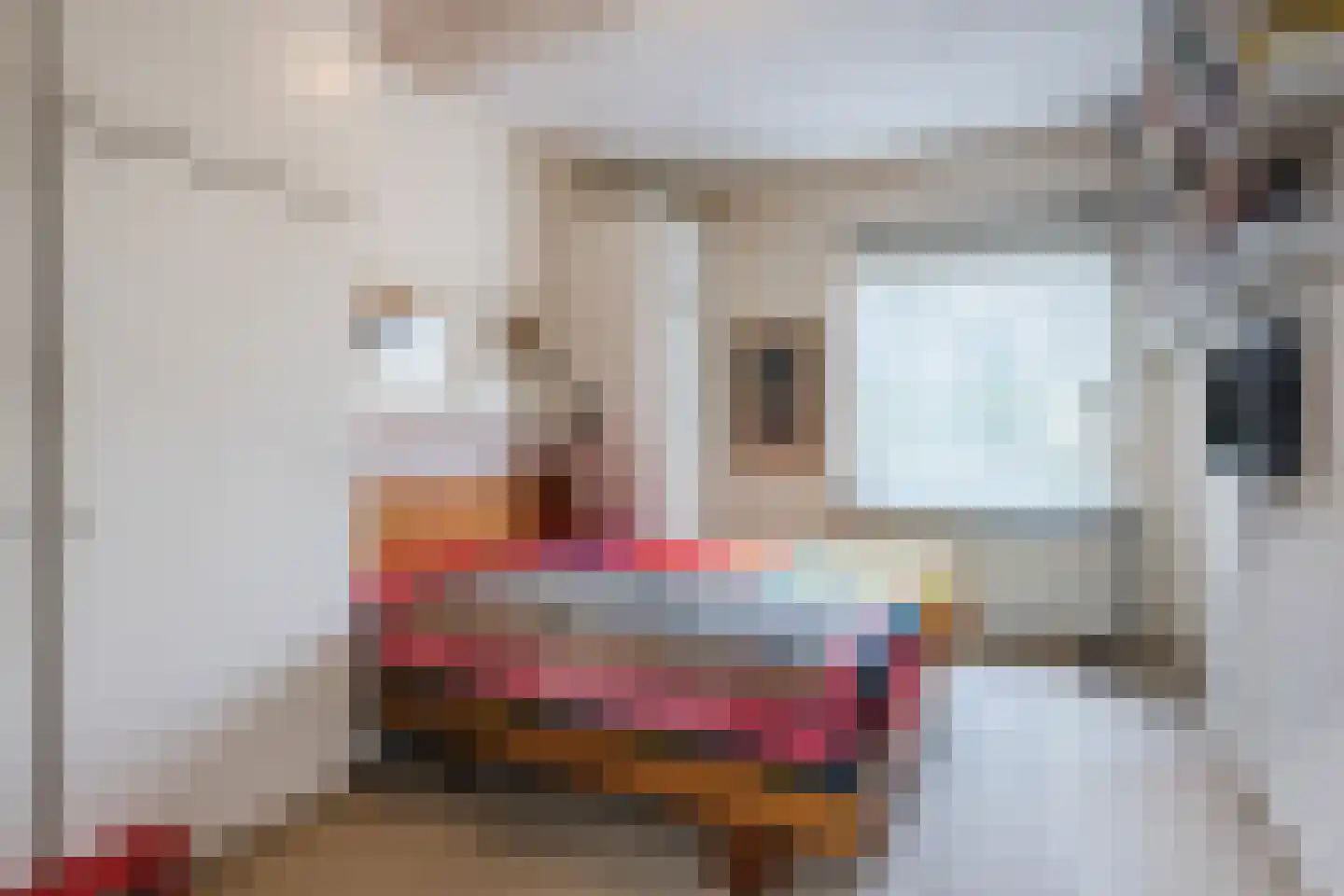 Vijverlaan 13 Nieuwleusen thumbnail 25
