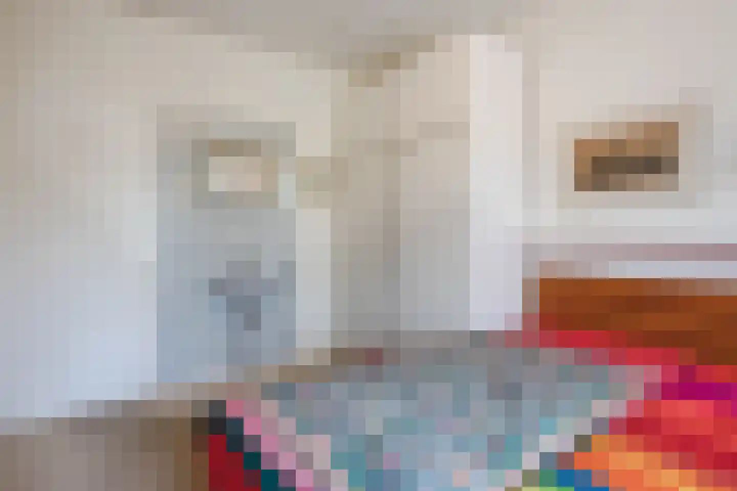 Vijverlaan 13 Nieuwleusen thumbnail 26