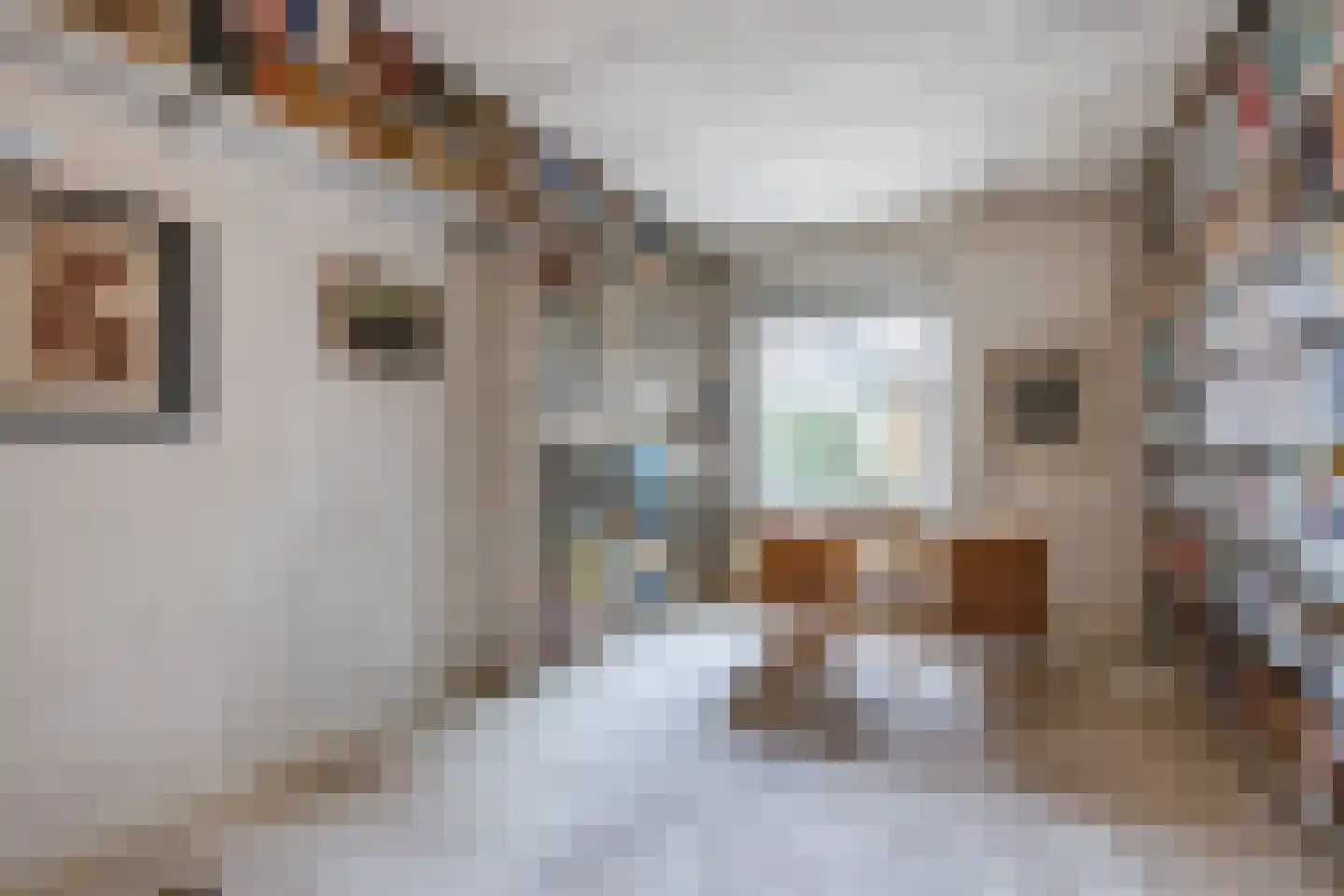 Vijverlaan 13 Nieuwleusen thumbnail 30