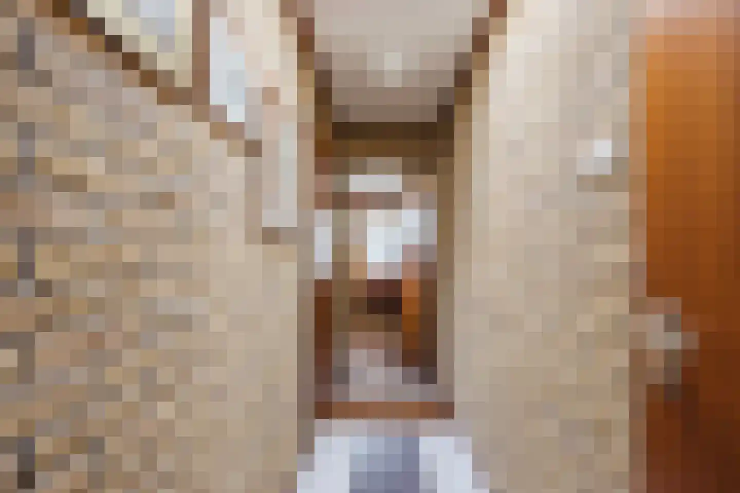 Vijverlaan 13 Nieuwleusen thumbnail 34