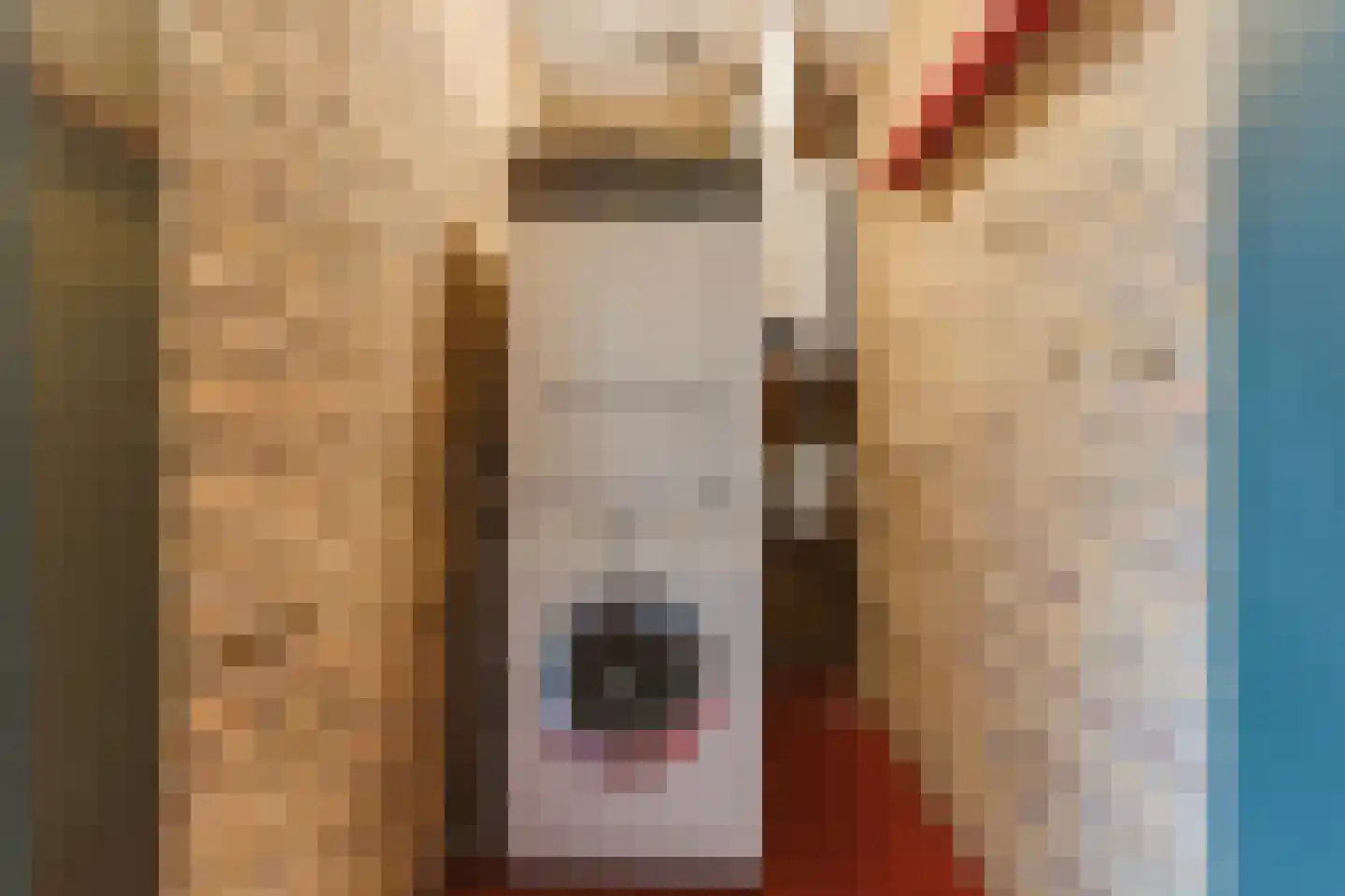 Vijverlaan 13 Nieuwleusen thumbnail 35