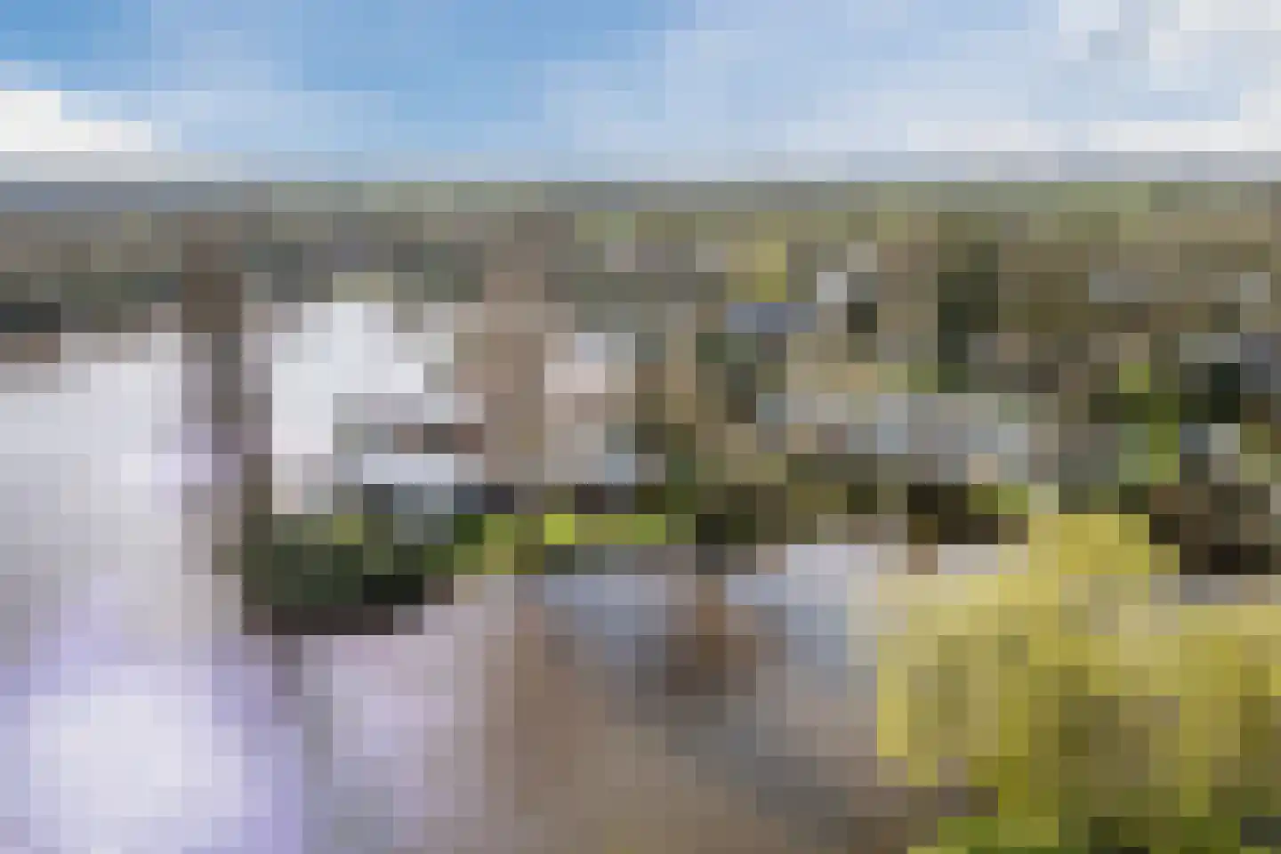 Vijverlaan 13 Nieuwleusen thumbnail 39